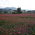 P1000850.JPG