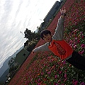 P1000857.JPG