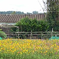 P1000859.JPG