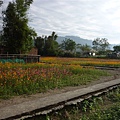 P1000862.JPG