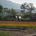 P1000867.JPG