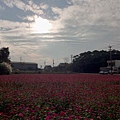 P1000875-1.jpg