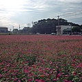 P1000876.JPG