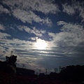 P1000877.JPG