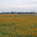 P1000881.JPG