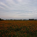 P1000902.JPG