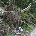 P1080073.JPG