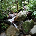P1080116.JPG