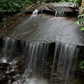 P1080120.JPG
