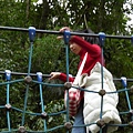 P1080149.JPG
