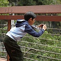 P1090231.JPG