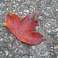 P1090376.JPG
