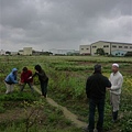 P1030530.JPG