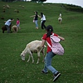 P1140964.JPG