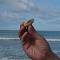 P1160342.JPG