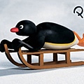 Pingu (9).jpg