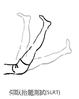 仰臥抬腿測試(straight leg raising test, SLRT)