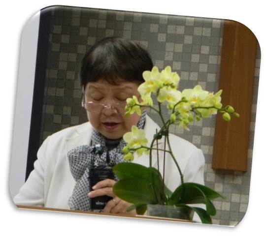 圖片1 圖片1