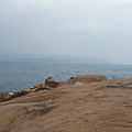 20150119_105254.jpg