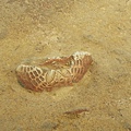 20150119_105940.jpg