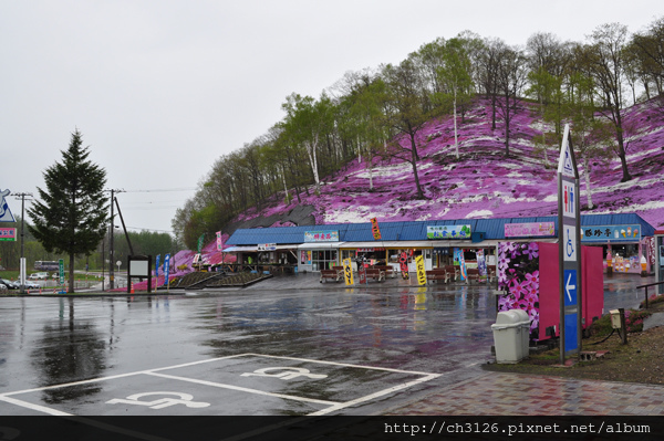 日本北海道 藻琴山溫泉芝櫻公園 King Chen 旅遊 美食 育兒の天地 痞客邦