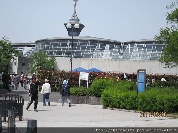 2011_05_06 大阪花博紀念公園 (3).JPG