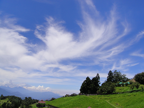 雲  很特別