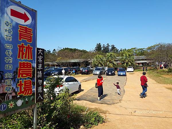 青林農場 青林農場