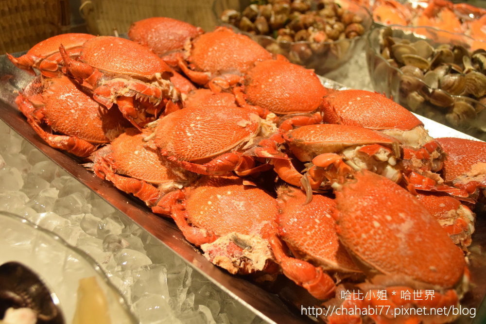 DSC_0706.JPG DSC_0706.JPG