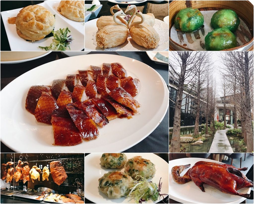 台中美食 与玥樓頂級粵菜餐廳 大器建築造景 庭院大片落羽松美景 餐點精緻美味 台中南屯美食 台中公益路美食 台中烤鴨推薦 哈比小姐 哈世界