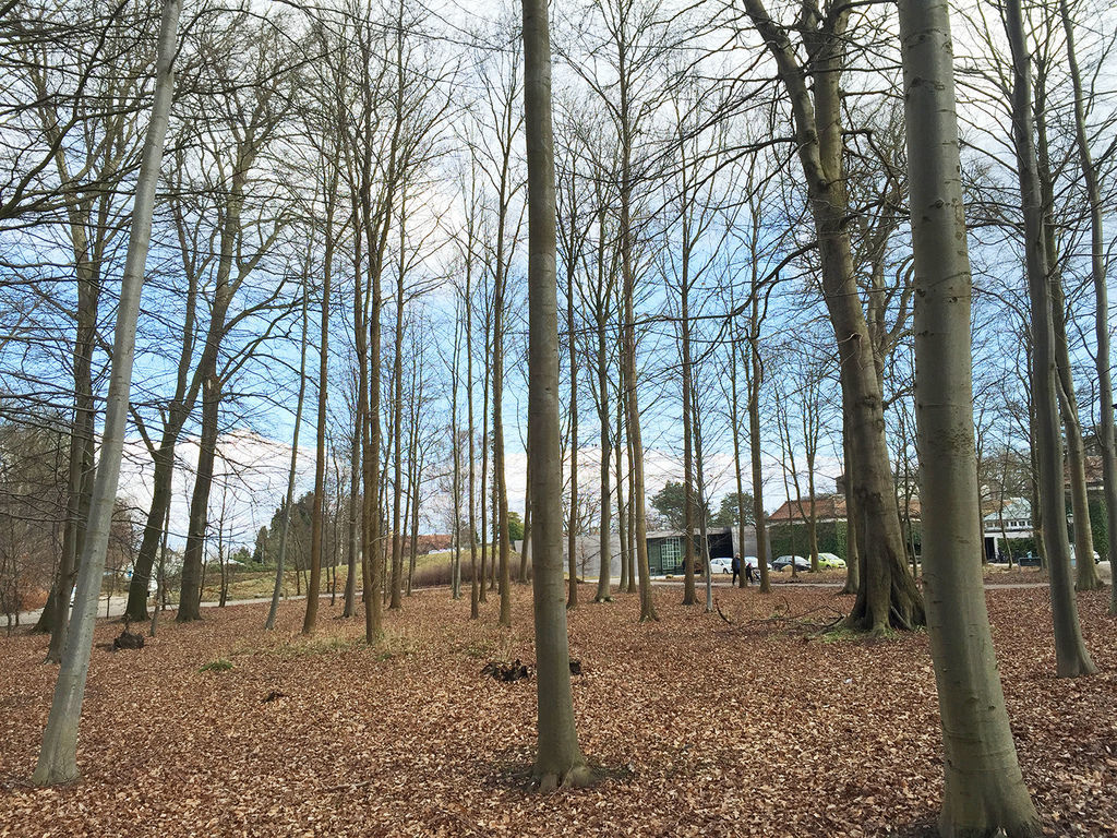 相片 2016-3-23 21 43 39.jpg 相片 2016-3-23 21 43 39.jpg