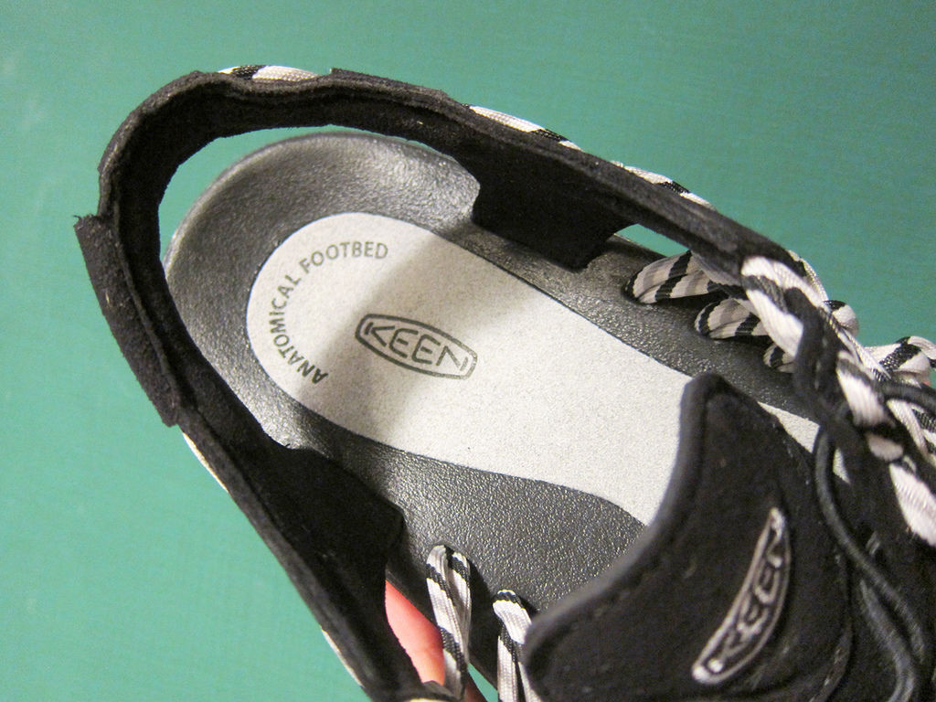 IMG_7774.JPG IMG_7774.JPG