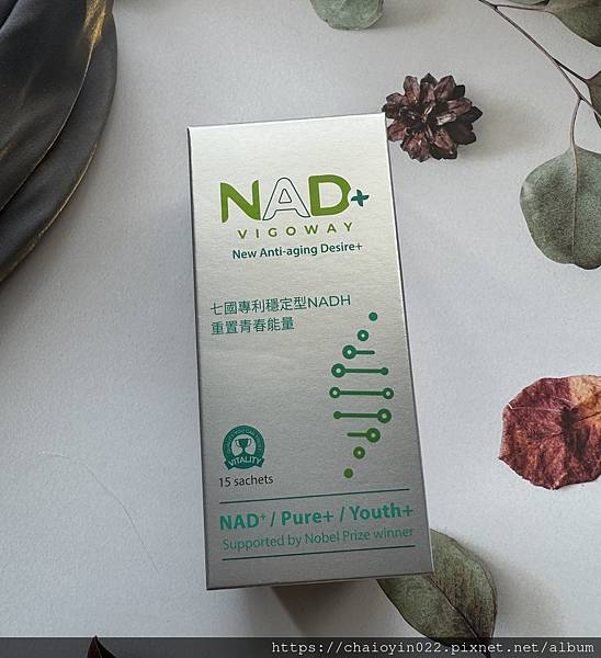 威客維 NAD+青春賦能粉包｜青春能量的秘密武器