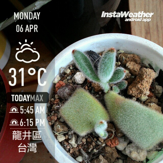 instaweather_20150406_151924.jpg