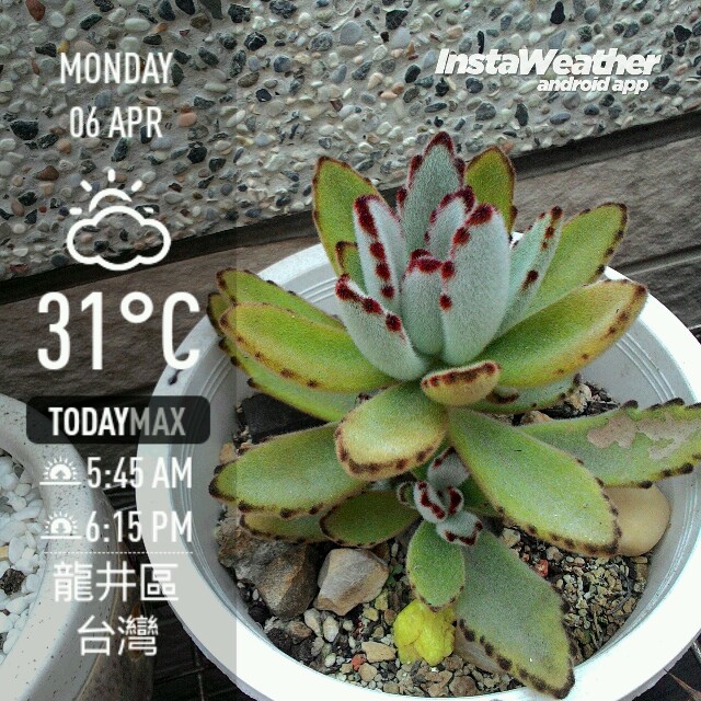 instaweather_20150406_151619.jpg