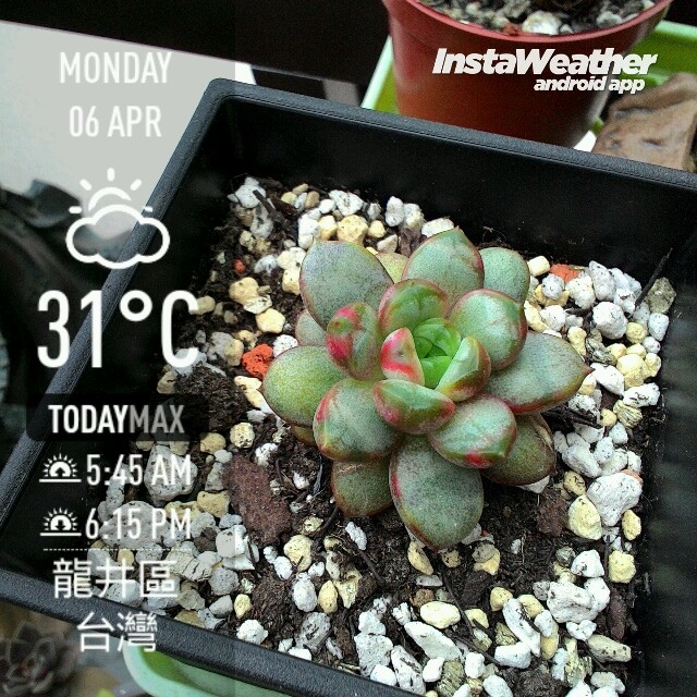 instaweather_20150406_151512.jpg