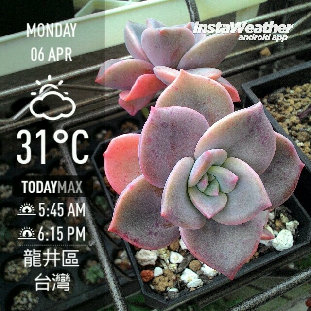 instaweather_20150406_151705.jpg