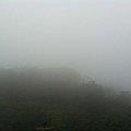 霧濛的一片.jpg