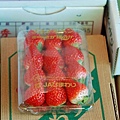 017.看起來好像很好吃的草莓