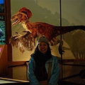 09-08.自然史博物館，這是恐龍雞嗎？