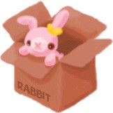 rabbitinabox