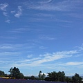 20130722_085631.jpg