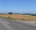 20130723_082025.jpg