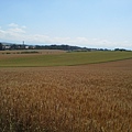 20130723_083409.jpg