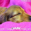 popeye-20110423-003.jpg