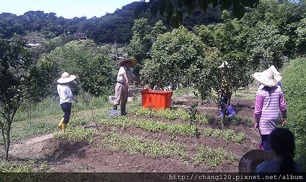 圍過來圍過來.jpg