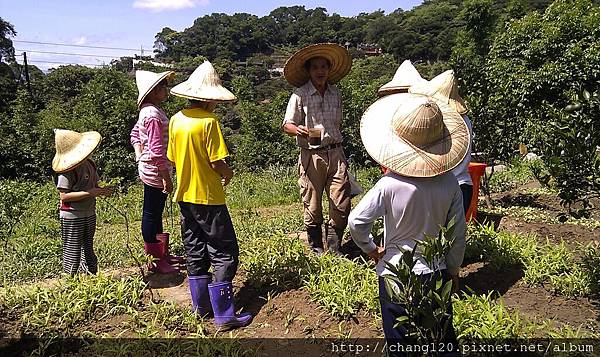 液肥的味道.jpg