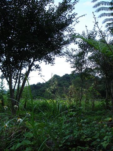 煤味道餐廳外的捨石山.JPG