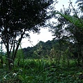 煤味道餐廳外的捨石山.JPG