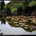 nEO_IMG_131102--Garden ShuangXi 052-800.jpg